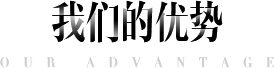 我們的優(yōu)勢(shì) 我們的優(yōu)勢(shì)